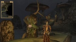 Screenshot for The Elder Scrolls III: Morrowind - click to enlarge