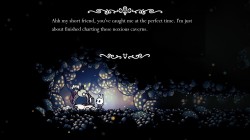 Screenshot for Hollow Knight - click to enlarge