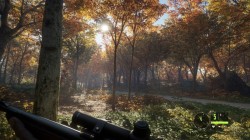 Screenshot for theHunter: Call of the Wild - click to enlarge