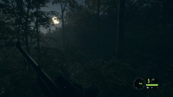 Screenshot for theHunter: Call of the Wild - click to enlarge