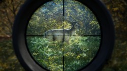 Screenshot for theHunter: Call of the Wild - click to enlarge