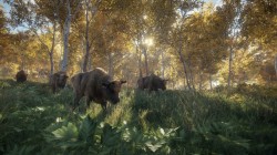 Screenshot for theHunter: Call of the Wild - click to enlarge