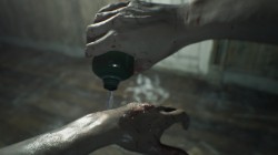 Screenshot for Resident Evil 7: Biohazard - click to enlarge