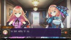 Screenshot for Demon Gaze II - click to enlarge