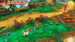 Screenshot for Story of Seasons: Trio of Towns - click to enlarge