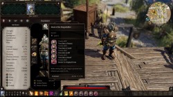 Screenshot for Divinity: Original Sin II - click to enlarge