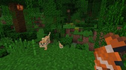 Screenshot for Minecraft - click to enlarge