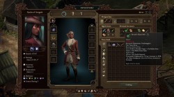 Screenshot for Pillars of Eternity II: Deadfire - click to enlarge