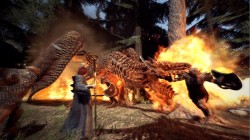 Screenshot for Dragon