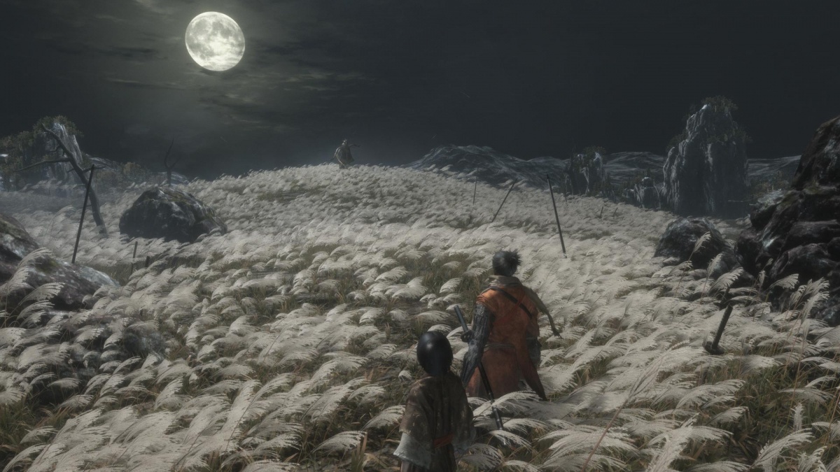 Screenshot for Sekiro: Shadows Die Twice on Xbox One