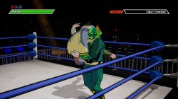 Screenshot for Chikara: Action Arcade Wrestling - click to enlarge