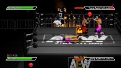 Screenshot for Chikara: Action Arcade Wrestling - click to enlarge