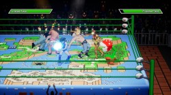 Screenshot for Chikara: Action Arcade Wrestling - click to enlarge