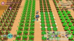 Screenshot for Story of Seasons:  Friends of Mineral Town  - click to enlarge