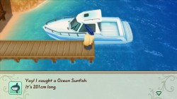 Screenshot for Story of Seasons:  Friends of Mineral Town  - click to enlarge