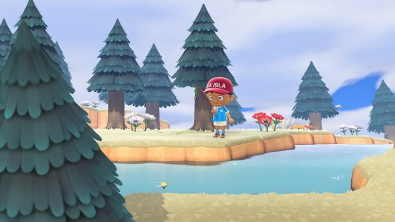 Screenshot for Animal Crossing: New Horizons on Nintendo Switch