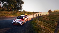 Screenshot for WRC 9 FIA World Rally Championship - click to enlarge