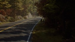 Screenshot for Life is Strange 2 - click to enlarge