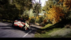 Screenshot for WRC 9 - click to enlarge