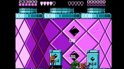 Screenshot for Battletoads & Double Dragon: The Ultimate Team - click to enlarge