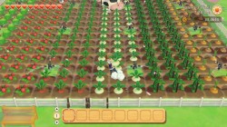 Screenshot for Story of Seasons: Pioneers of Olive Town - click to enlarge