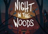 Review for Night in the Woods on PC