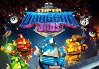 Review for Super Dungeon Bros on PlayStation 4