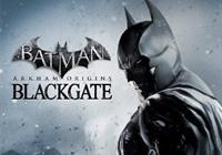 Review for Batman: Arkham Origins Blackgate on Nintendo 3DS