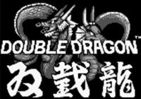 Review for Double Dragon on Game Boy