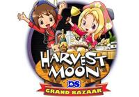 Review for Harvest Moon: Grand Bazaar on Nintendo DS