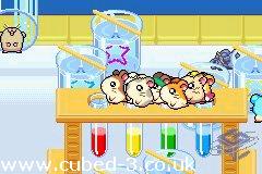 Screenshot for Hamtaro: Rainbow Rescue on Game Boy Advance