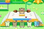 Screenshot for Hamtaro: Rainbow Rescue - click to enlarge