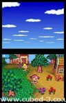 Screenshot for Animal Crossing: Wild World - click to enlarge