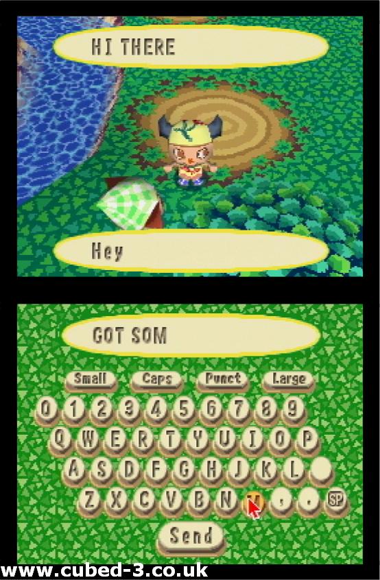 Screenshot for Animal Crossing DS - click to enlarge