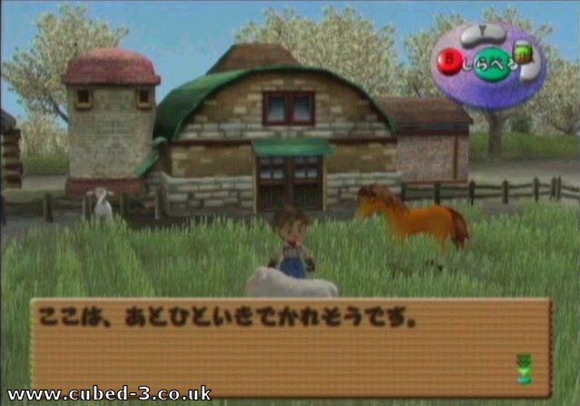 Screenshot for Harvest Moon: A Wonderful Life on GameCube